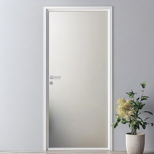 简约风格室内磨砂玻璃门