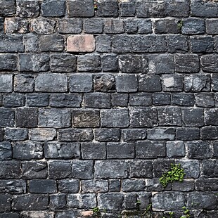 古朴灰砖墙 缝隙绿意点缀