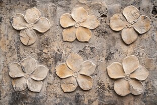 石墙上的精致花朵装饰