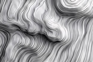 黑白线条构成的流动纹理