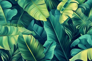 热带芭蕉叶的梦幻植物景观