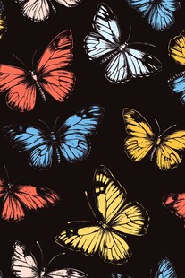 多彩蝴蝶图案 黑色背景装饰