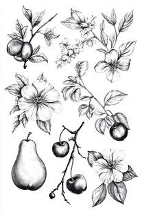 手绘水果花卉素描素材