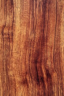 纹理精美的木质表面
