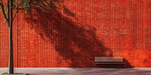 红墙树影下的静谧长椅