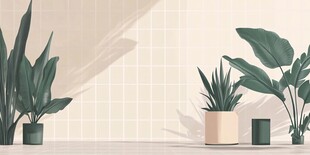 室内绿植装点简约空间
