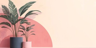 室内绿植装饰简约场景