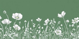 绿色背景下的白色花卉图案