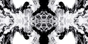 黑白对称抽象艺术图案