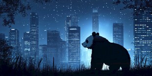 熊猫夜望都市灯火