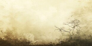 雾霭中的枯树景观