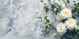 大理石上的优雅白玫瑰