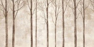 冬日枯树林纹理背景图