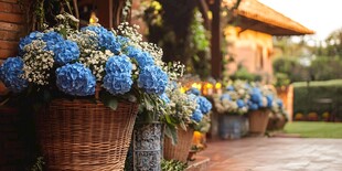 蓝绣球花装点的温馨庭院