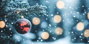 圣诞松枝上的红彩球