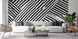 黑白条纹风现代简约客厅