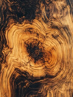 木纹特写 自然纹理的艺术美