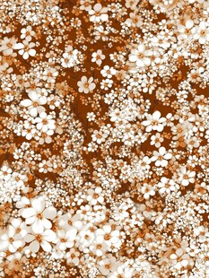 小雏菊棕色背景花卉图案