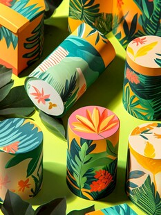 多彩热带风图案包装容器