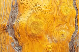 独特木纹纹理特写