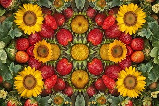 向日葵与草莓的缤纷图案