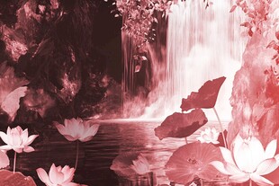 梦幻粉调瀑布荷花美景