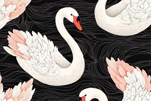 优雅天鹅黑白花纹图案