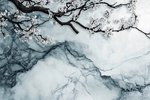 水墨风杏花山水意象图