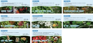 户外植物科普牌
