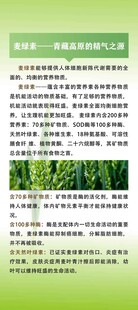 绿色植物营养与生长知识
