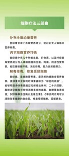 水稻种植技术要点介绍易拉宝展架