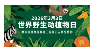 世界野生动植物日宣传图