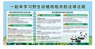 动物知识科普宣传页