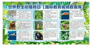野生植物保护宣传海报