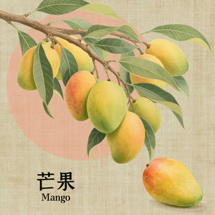 手绘芒果