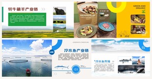 冷水鱼牦牛产业介绍
