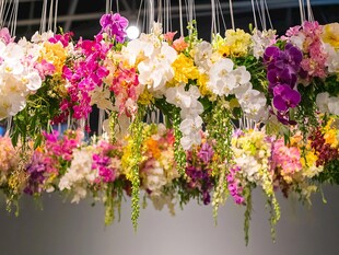 多彩垂吊花卉艺术装饰