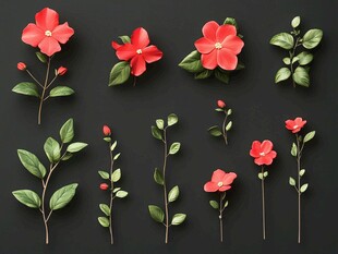 红色花卉绿植排列展示图