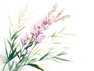 水彩绘粉色花卉与绿叶