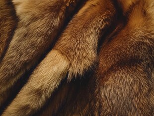 奢华棕色毛皮特写