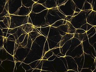 金色神经脉络抽象背景图