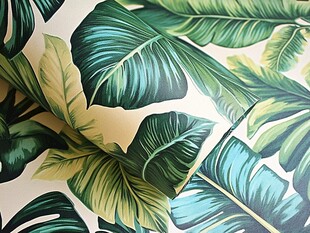 热带风绿植图案壁纸