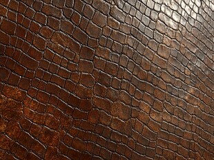 棕色鳄鱼皮纹理特写