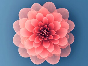 粉色花朵绽放于蓝色背景