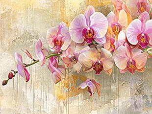 梦幻粉蝶兰花卉艺术图