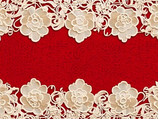红色底花卉蕾丝装饰图案