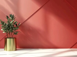红墙金盆绿植简约景致