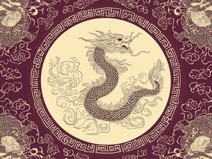 中式传统龙纹精美图案