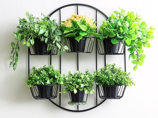 圆形壁挂绿植装饰架