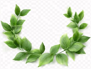 绿叶花环 清新自然装饰元素